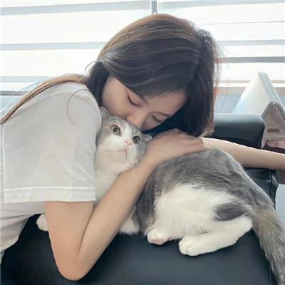 史崔特先生的故事
